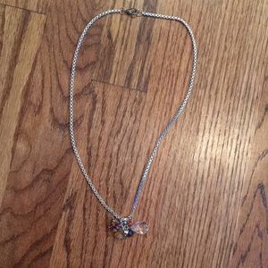 Silver Necklace with Charm